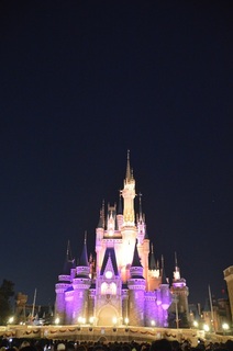 DSC_0025.JPG