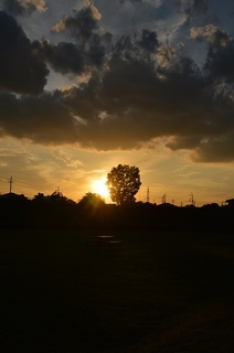 DSC_0112.JPG
