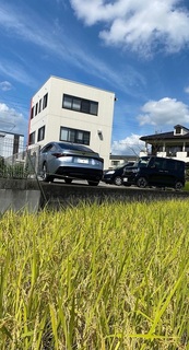 IMG_0020.jpg