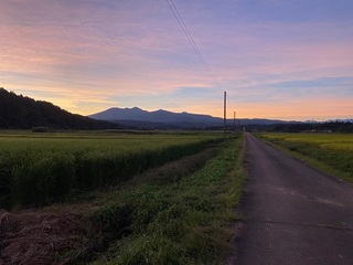 IMG_0139.jpg