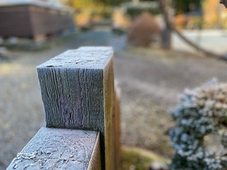 IMG_0219.jpg