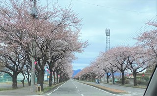 IMG_0475.jpg