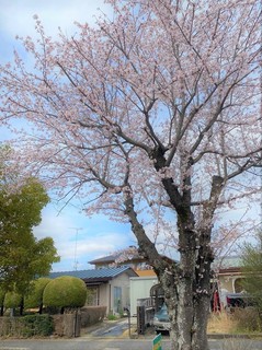 IMG_0527.jpg