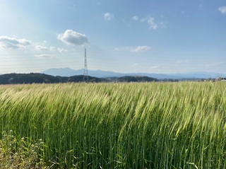 IMG_1095.jpg