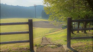 IMG_13761.jpg