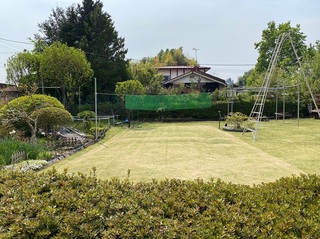 IMG_1398.jpg