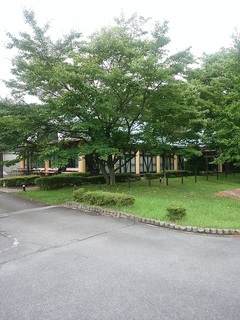 IMG_20170723_163255.jpg