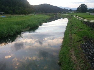 IMG_20170826_181246.jpg