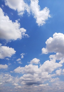 IMG_20190618_104234.jpg