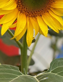 IMG_23081.jpg