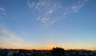 IMG_2625111.jpg