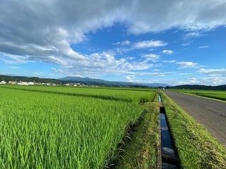 IMG_2679.jpg