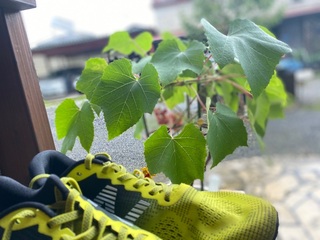 IMG_2771.jpg