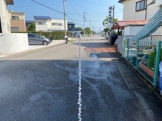 IMG_2856.jpg