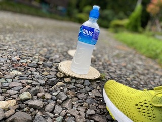 IMG_3694.jpg