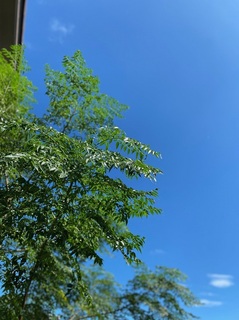 IMG_3809.jpg