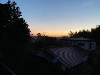 IMG_5250.jpg
