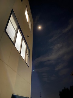 IMG_6634.jpg