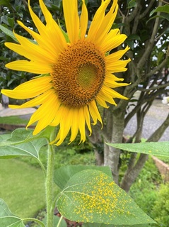 IMG_6719.jpg