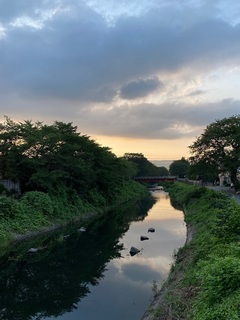 IMG_6732.jpg