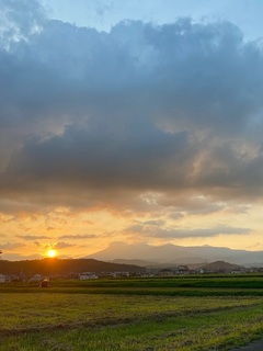 IMG_6738.jpg