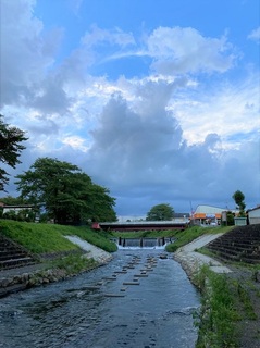 IMG_6795.jpg