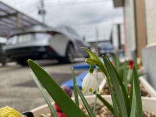 IMG_7256.jpg