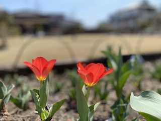 IMG_7314.jpg