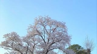 IMG_7359.jpg