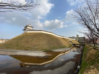 IMG_73881111.jpg