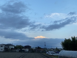 IMG_7530.jpg